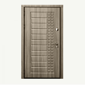 Входная металлическая дверь БЕРГ-300x300-min