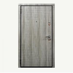 Входная металлическая дверь ПОЛЛО-300x300-min